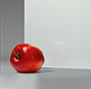 Glass Finish (Glass barn Door)