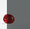 Glass Finish (Glass barn Door)
